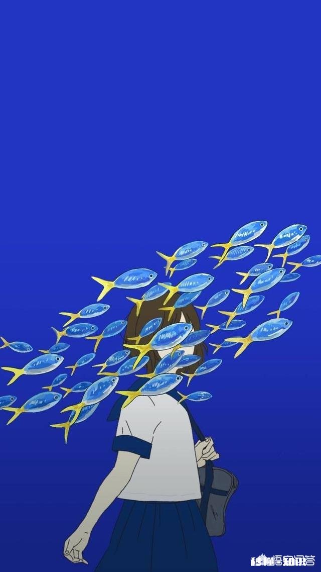 什么壁纸可以显的手机屏幕比较大