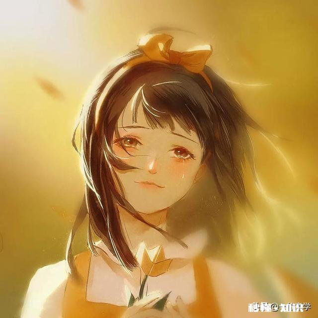 大家有没有什么可爱的壁纸或头像