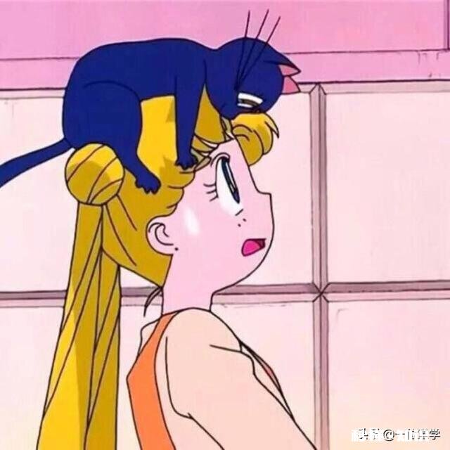 大家有没有什么可爱的壁纸或头像