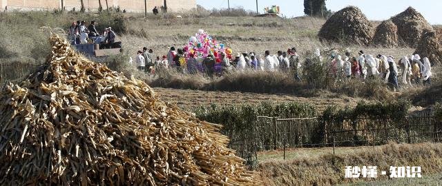 如果你20年前的初恋联系你，而你心里也想见他，你会赴约吗