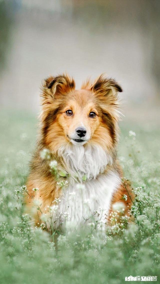 35岁未婚男，没有女朋友只是因为太老实吗