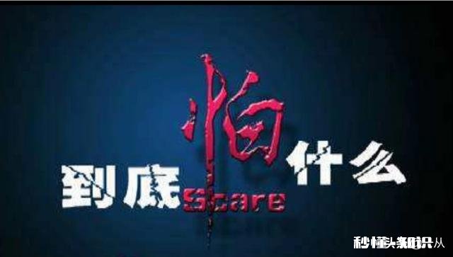 我去申请劳动仲裁,如果老板报复怎么办