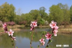 男朋友想要给自己离婚带着小孩的妹妹10几万买房，我该怎么办呀