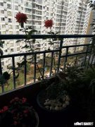 你喜欢你所在的地方吗觉得别的地方好还是自己所在的地方好