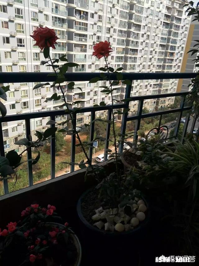 你喜欢你所在的地方吗觉得别的地方好还是自己所在的地方好