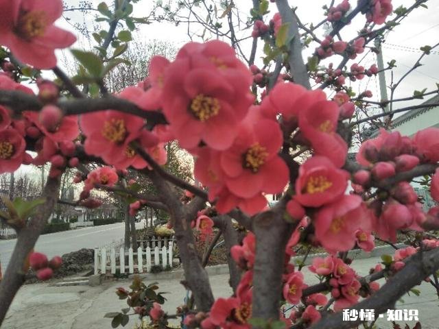 两个都已婚的男女偷偷视频聊天正常吗