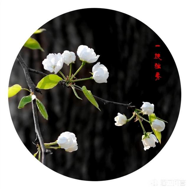 青春期的男生和女生一起玩，会被误认为早恋吗