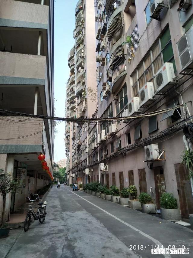 “在中国不结婚就好像犯了很大的错一样”对此你如何评价