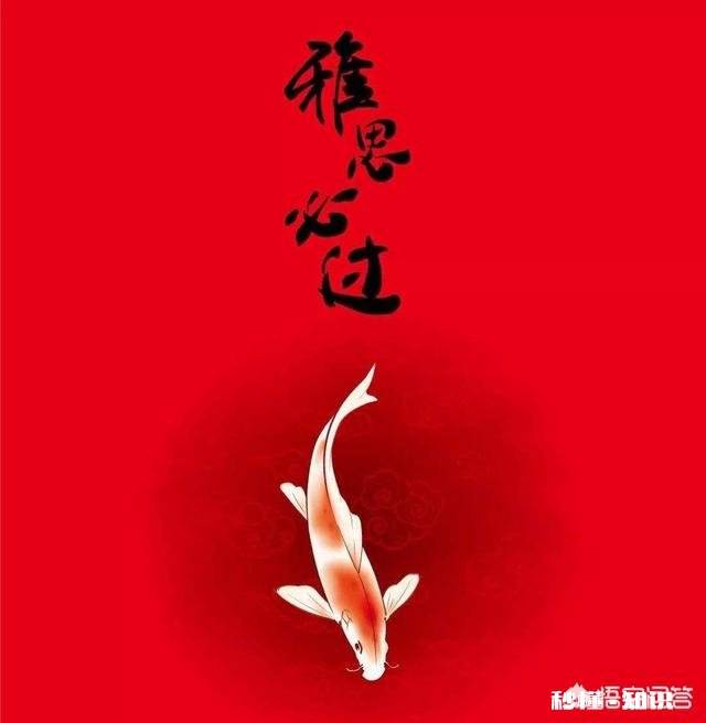 每位“屠鸭”都想雅思7分，7分真的很难吗