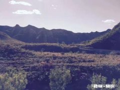 朋友借钱不还，而且一直也不再提了，怎么开口要