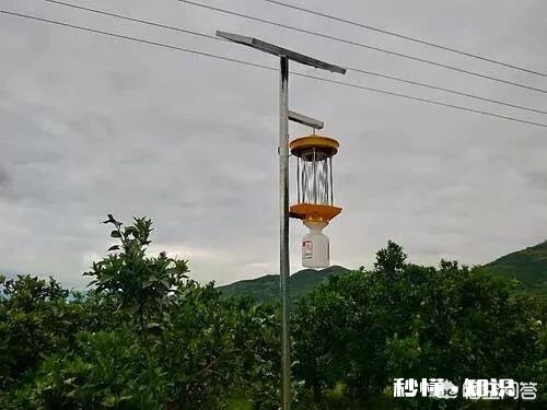 我想给果园安装灭蚊灯会有用吗