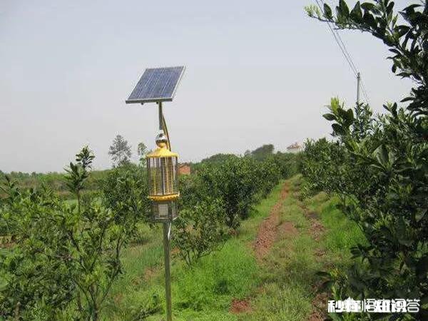 我想给果园安装灭蚊灯会有用吗