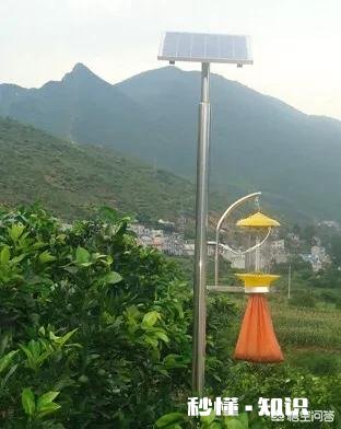 我想给果园安装灭蚊灯会有用吗