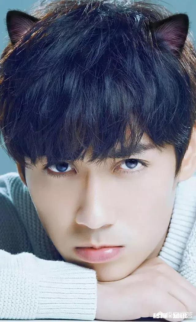 你觉得朱一龙为什么是你的偶像