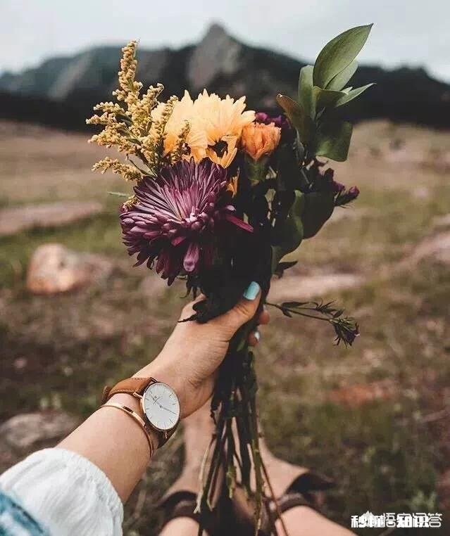 有哪些很美的简短的情话可以分享