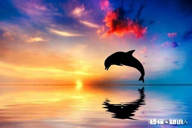 养蜂多久可出师