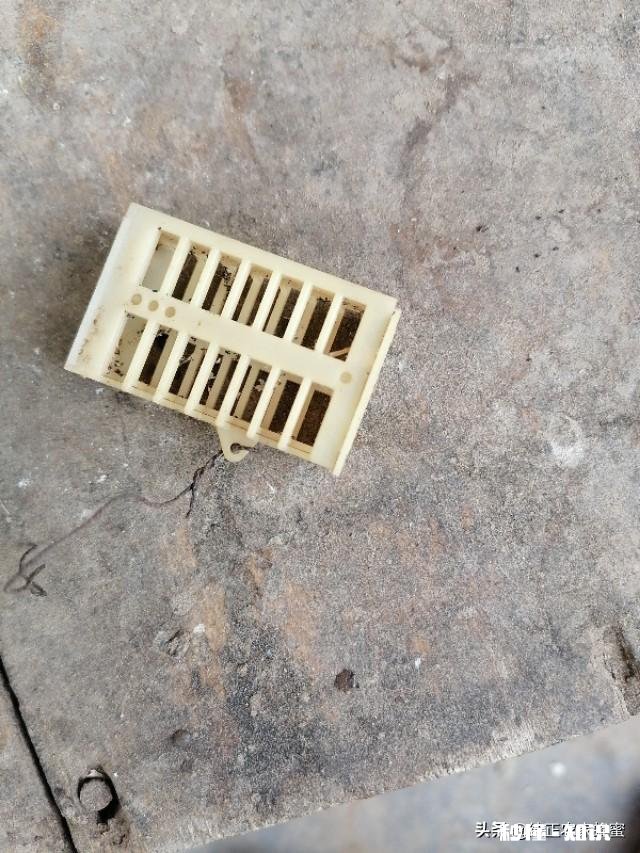 养蜂多久可出师