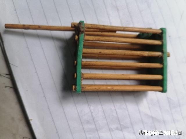 养蜂多久可出师