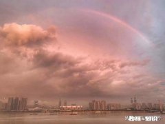 连环杀人犯会将犯罪基因遗传给后代吗