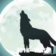 狼性团队究竟代表着什么样的文化，如何打造