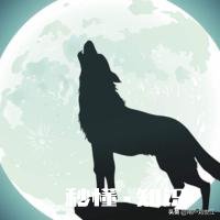 狼性团队究竟代表着什么样的文化,如何打造