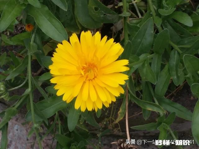 那些因为爱情结婚的人婚后过得怎么样