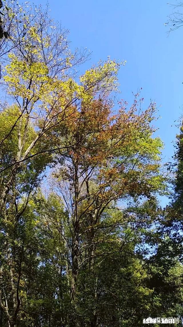 为什么有的人跟以前不一样了就像变了个人一样，这是什么心理导致的