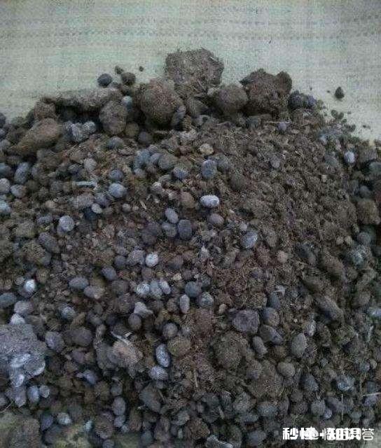 有机肥和化肥掺混酿大祸，你还敢这么用吗
