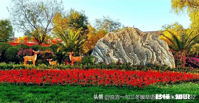 如何理解“穷精致”这个词