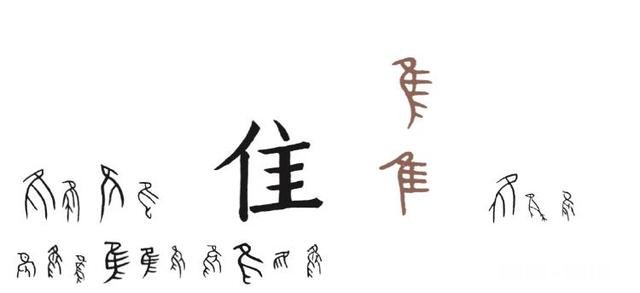 简字的造字法是什么