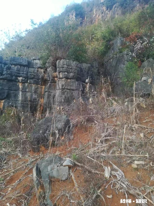 简字的造字法是什么