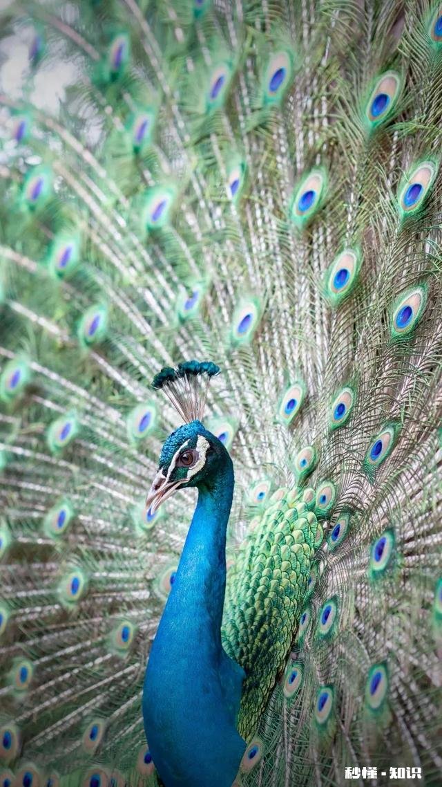 简字的造字法是什么