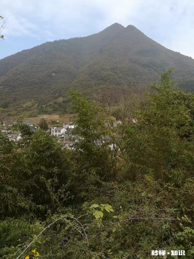 简字的造字法是什么