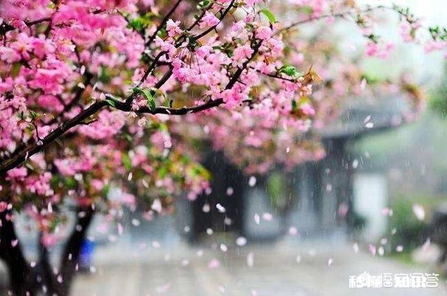 有什么一句话的经典语录，越悲越好