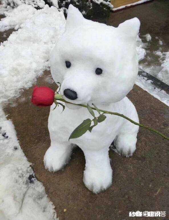 情人节到了，你准备送给她什么惊喜