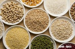 黑米燕麦米糙米玉米粒小米枸杞小红豆吃了会成为减肥餐吗