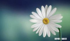 儿子被大他几岁并带两个孩子的女人勾住了，如何说服他