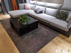 布料沙发，溅上西红柿汁液，怎样洗下去