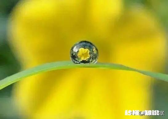 因为每天都担心末日。所以失眠。大家有没有同感