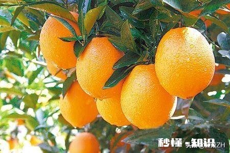 昌赣高铁即将通车，对赣州有什么利好