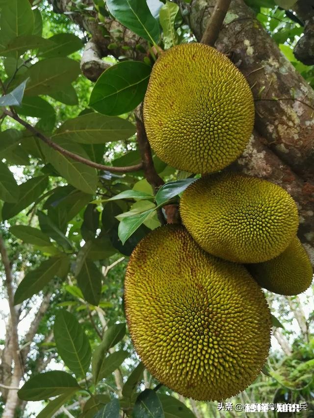 女30岁左右极少发朋友圈什么情况