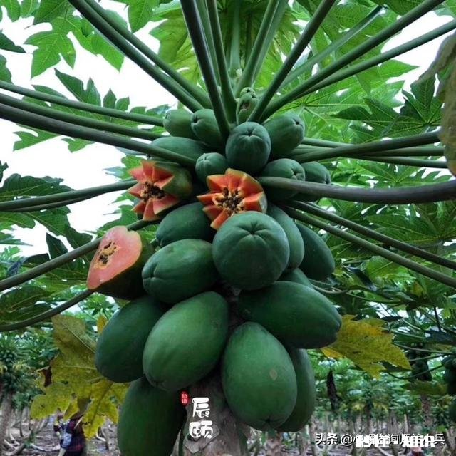 女30岁左右极少发朋友圈什么情况