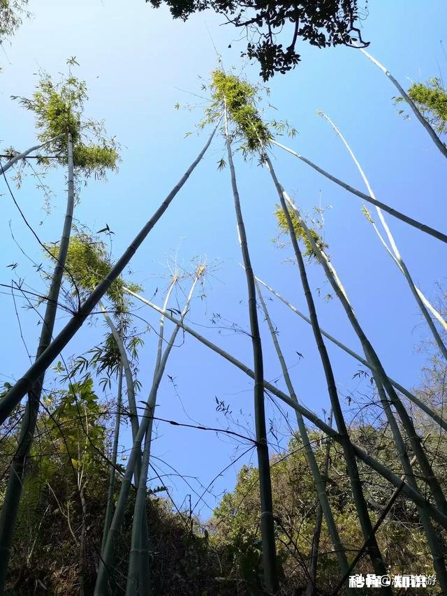 情人节！太阳还会爱地球多久