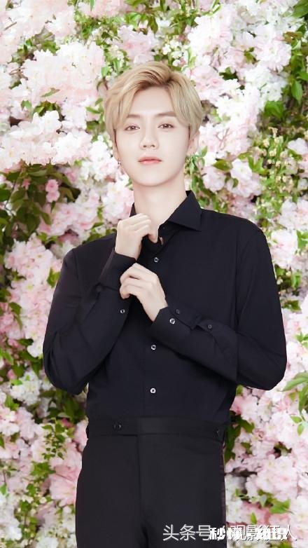 你们最喜欢的男明星是谁和最喜欢的女明星分别是谁