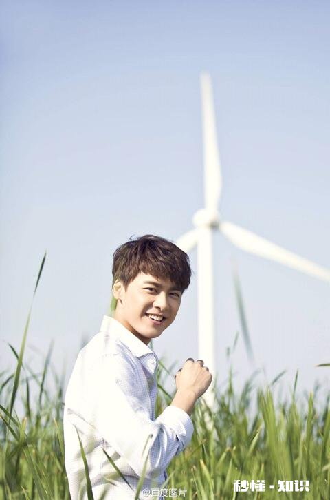 你们最喜欢的男明星是谁和最喜欢的女明星分别是谁