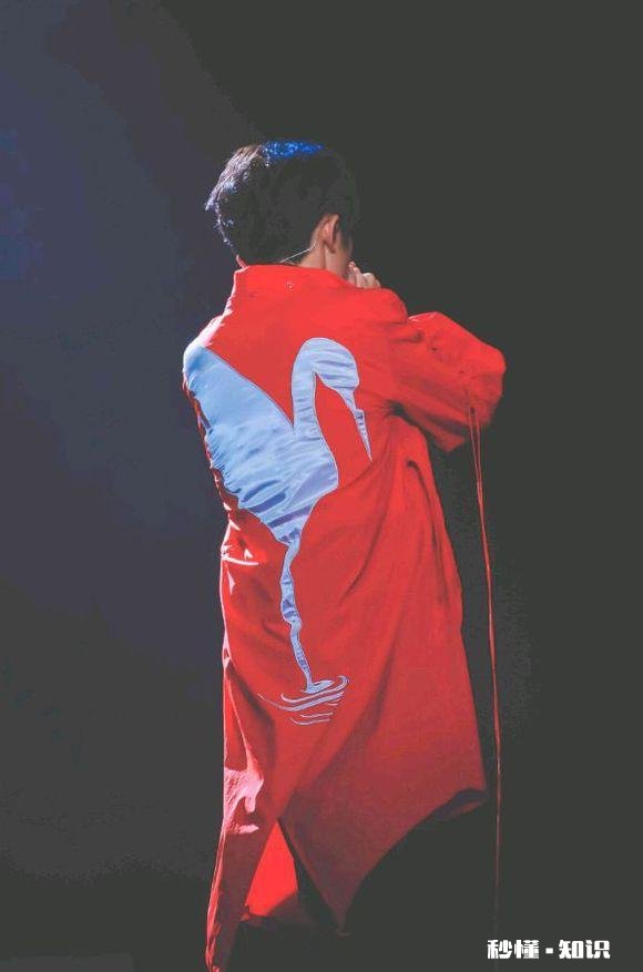 你们最喜欢的男明星是谁和最喜欢的女明星分别是谁