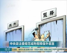 假释和刑满在本质上有何区别，难道不能直接提前释放吗