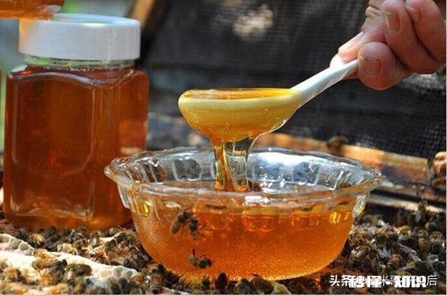 纯蜂蜜该怎么吃真正的纯蜂蜜最少多少钱一斤?