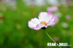 老婆一直和我吵架，为了小孩要坚持生活下去吗