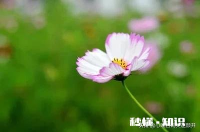 老婆一直和我吵架，为了小孩要坚持生活下去吗